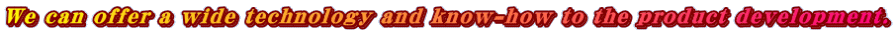 We can offer a wide technology and know-how to the product development.